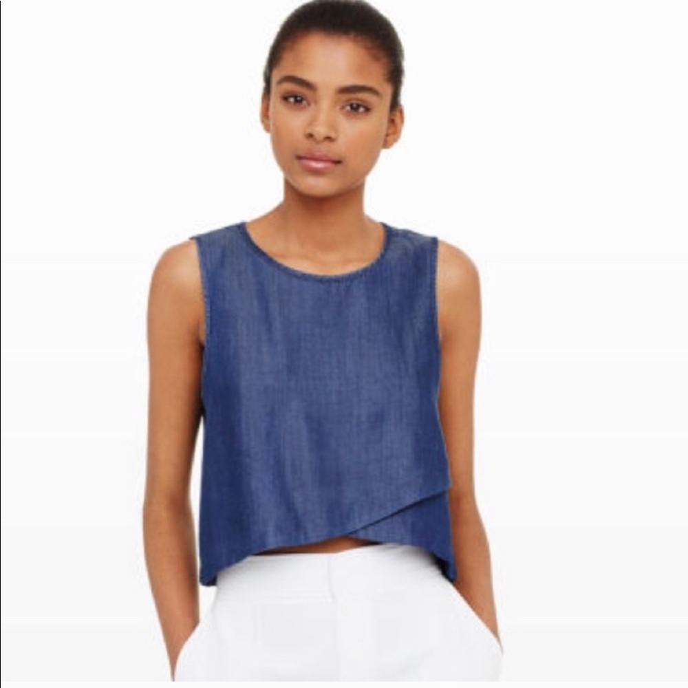 Club Monaco Denim Crop Top